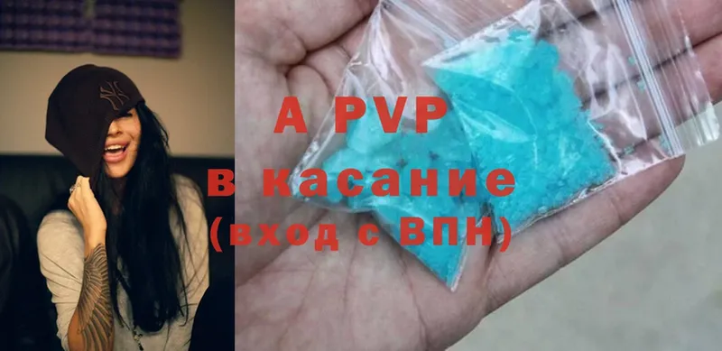 A PVP СК КРИС  Нальчик 